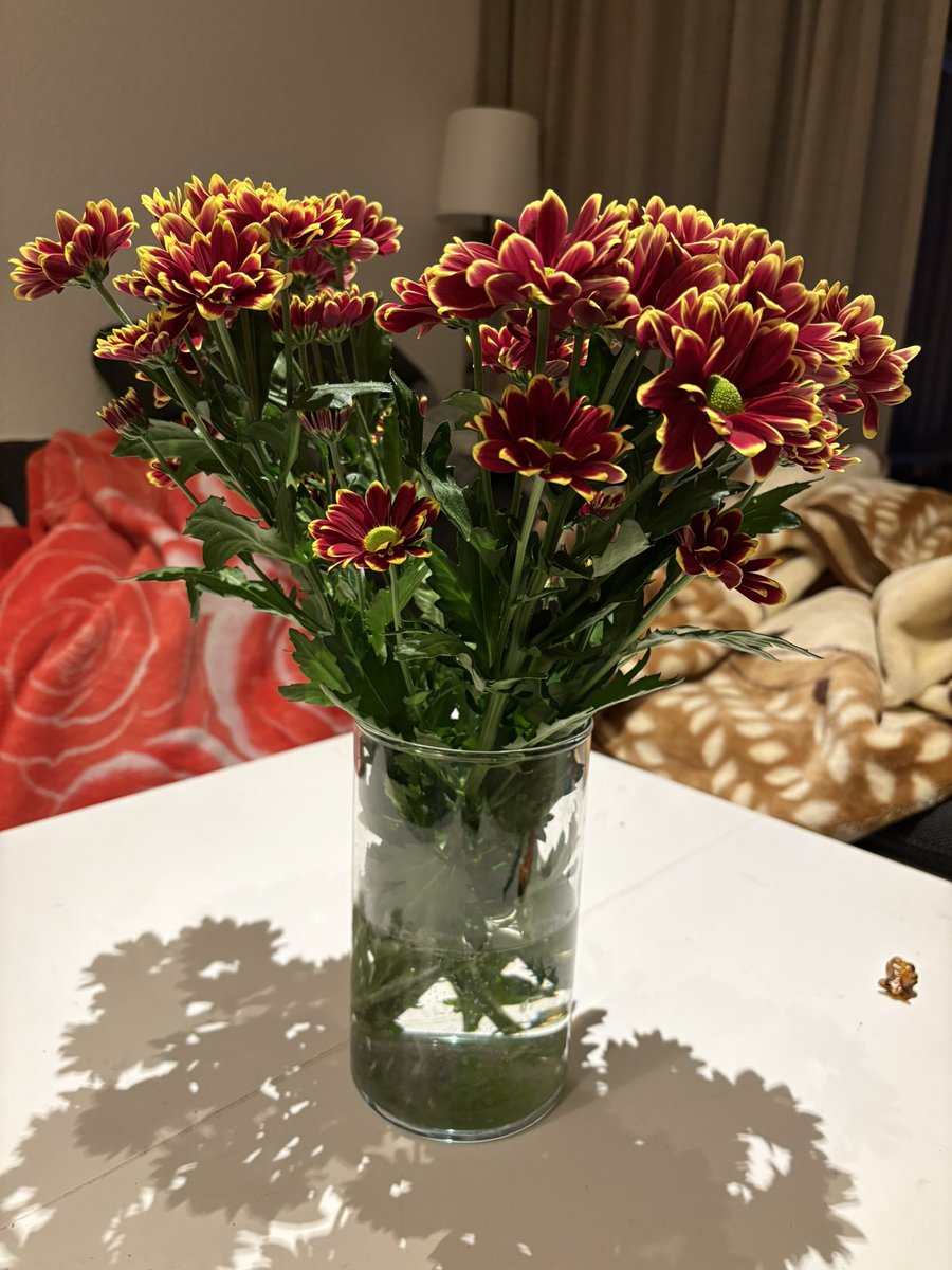 Männers die ihren Freundinnen keine Blumen schenken sind Opfer 💖