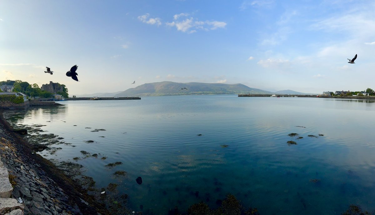 Lovely evening on the Irish coast. Slàinte!