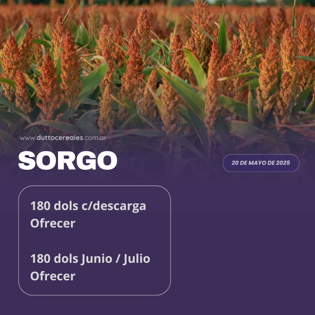 #Mercados | 20/05- Sorgo🌾

🔸¡Mantente al tanto de las últimas cifras del mercado agropecuario con nosotros!

✅Agenda este nro. +𝟱𝟰 𝟵 𝟯𝟰𝟮𝟰 𝟮𝟮-𝟲𝟭𝟴𝟴 y hace tu consulta de manera rápida y fácil 😄👌

#MercadosEnPerspectiva #Trigo #DuttoCereales #soja #maiz #girasol