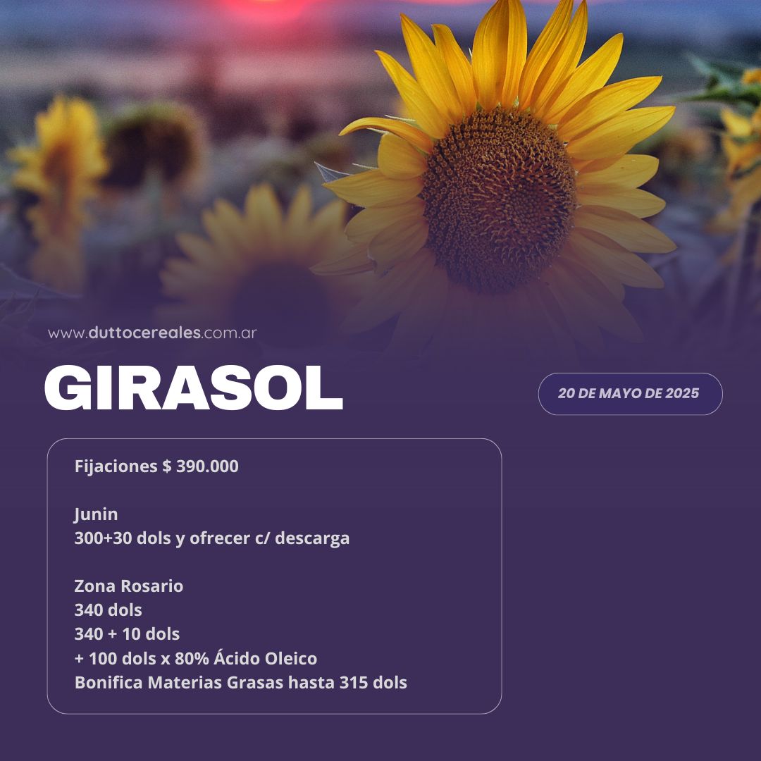 #Mercados | 20/05- Girasol🌾

🔸¡Mantente al tanto de las últimas cifras del mercado agropecuario con nosotros!

✅Agenda este nro. +𝟱𝟰 𝟵 𝟯𝟰𝟮𝟰 𝟮𝟮-𝟲𝟭𝟴𝟴 y hace tu consulta de manera rápida y fácil 😄👌

#MercadosEnPerspectiva #Trigo #DuttoCereales #soja #maiz #girasol