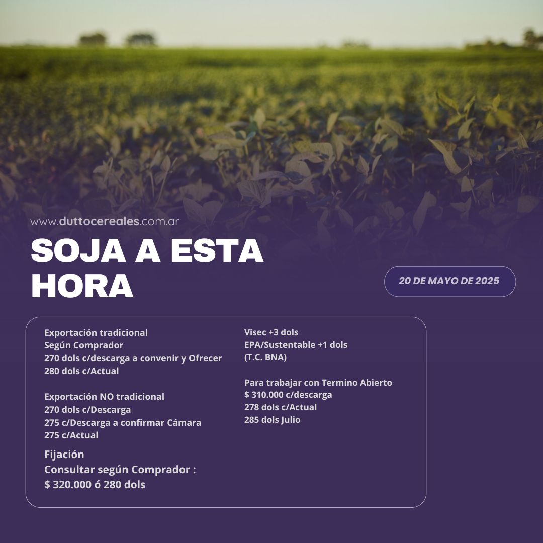 #Mercados | 20/05- Soja🌾

🔸¡Mantente al tanto de las últimas cifras del mercado agropecuario con nosotros!

✅Agenda este nro. +𝟱𝟰 𝟵 𝟯𝟰𝟮𝟰 𝟮𝟮-𝟲𝟭𝟴𝟴 y hace tu consulta de manera rápida y fácil 😄👌

#MercadosEnPerspectiva #Trigo #DuttoCereales #soja #maiz #girasol