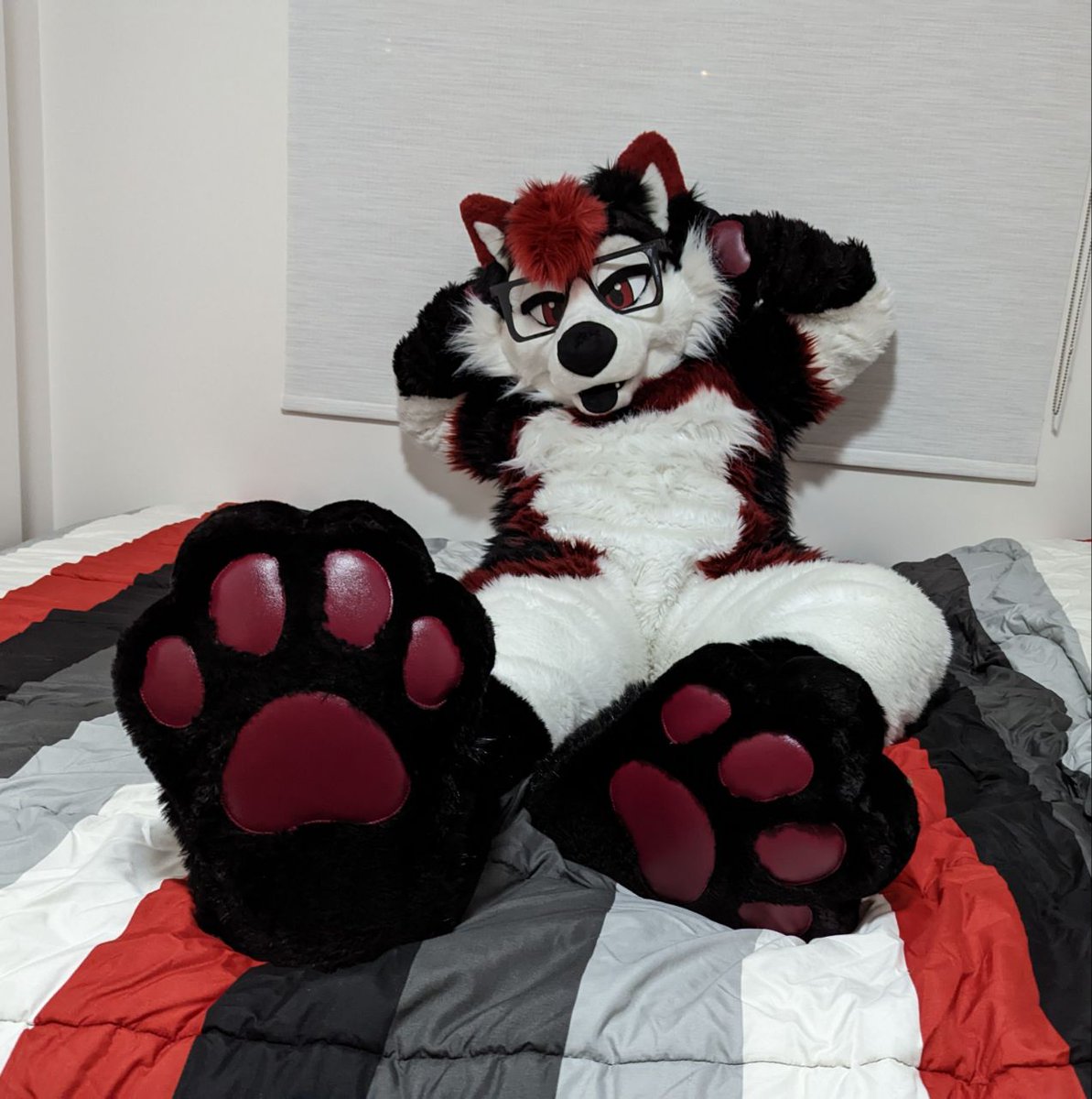 I was told to post some paws for #PawDay 🐾