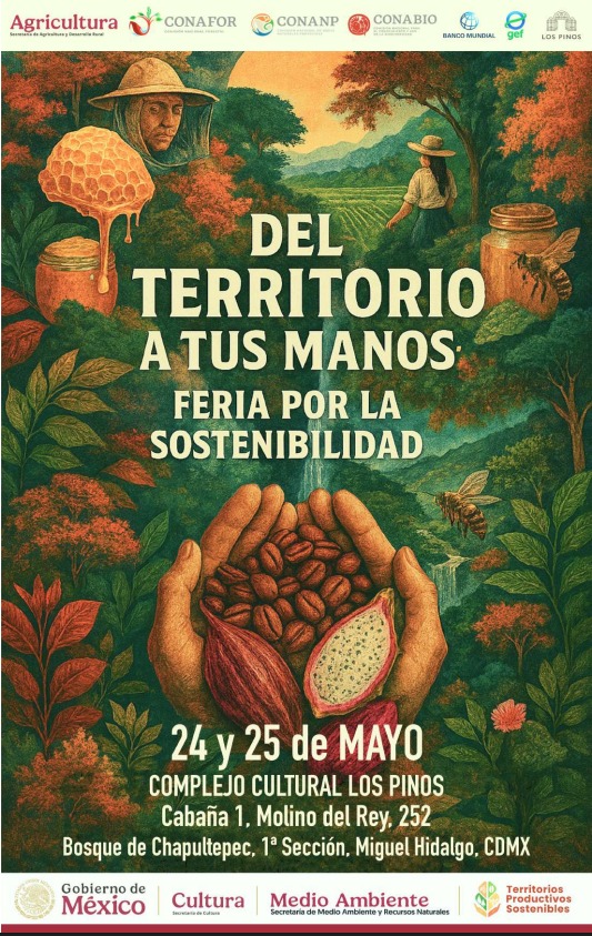 ¡Ya falta poco para la Feria por la Sostenibilidad!
Del territorio a tus manos: café, miel, chocolate y artesanías en madera, todos elaborados en condiciones que respetan lo social, lo ambiental y lo económico.
¡No te la pierdas! <a href="/ProyectoTPSMx/">ProyectoTPSMéxico</a>