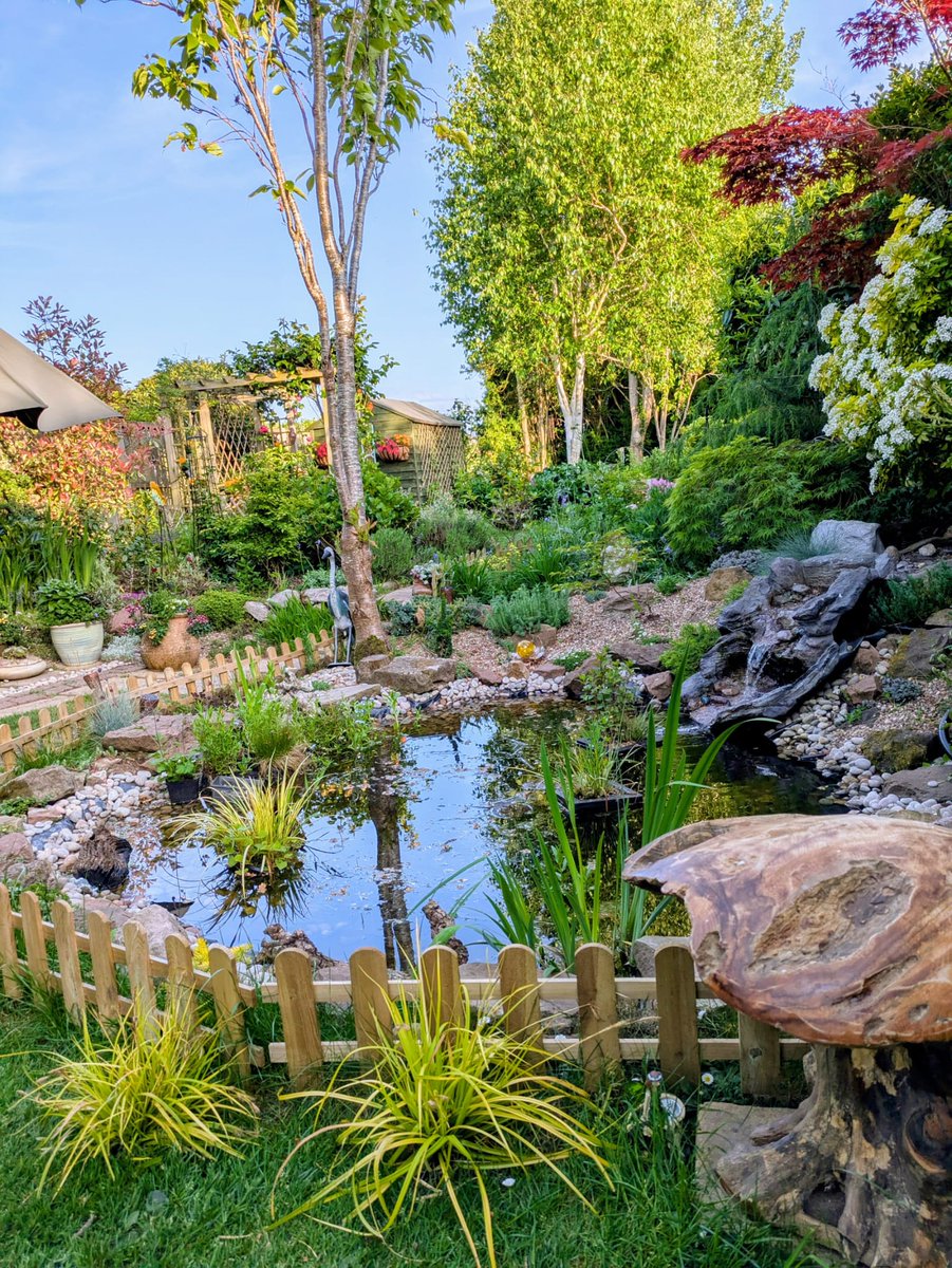 Is there a surefire way to keep Herons away from my pond that doesn't involve netting it?#askbbcchelsea