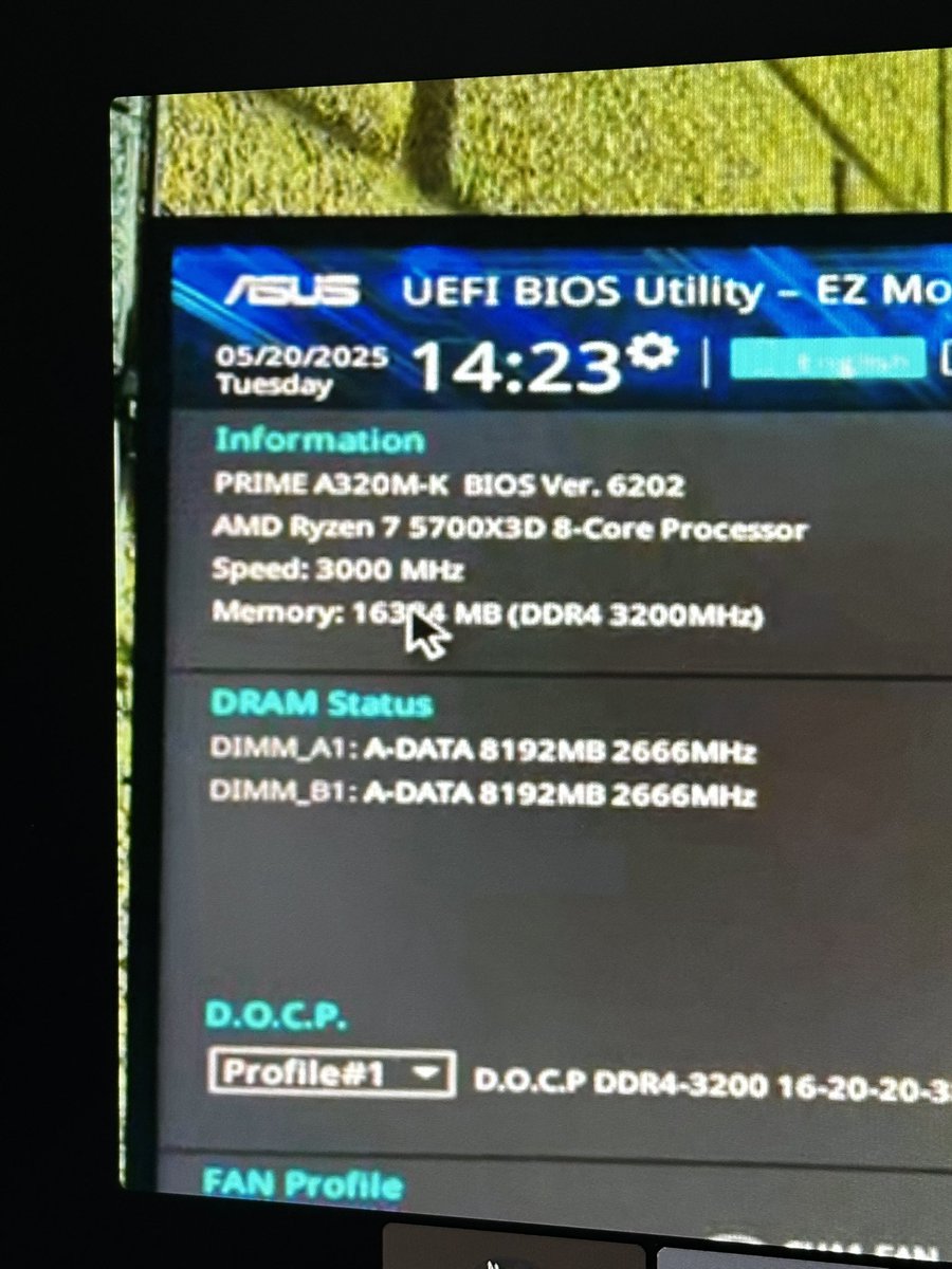 Ryu Pozos tweet media