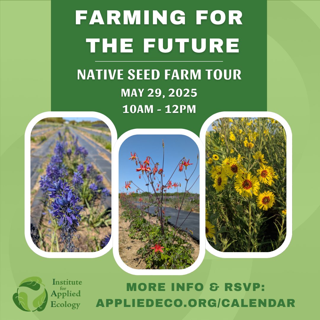 Join us this summer and learn from our community’s native plant experts! RSVP to info@appliedeco.org with any questions or visit appliedeco.org/calendar for more details.