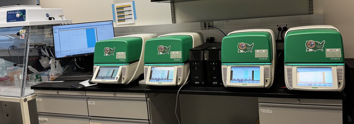 Upstate Tick Testing Laboratory (@ny_ticks) on Twitter photo We are observing a notable increase in human–tick encounters this season, reflected by a substantial influx of tick submissions for pathogen testing. Our lab is operating at full capacity, with all PCR machines actively processing #tick samples.
<a href="/Thangamani_Lab/">Thangamani Lab, SUNY Upstate ☣️🧬🦟🐁🦠</a> <a href="/UpstateNews/">Upstate Medical University</a> We are observing a notable increase in human–tick encounters this season, reflected by a substantial influx of tick submissions for pathogen testing. Our lab is operating at full capacity, with all PCR machines actively processing #tick samples.
<a href="/Thangamani_Lab/">Thangamani Lab, SUNY Upstate ☣️🧬🦟🐁🦠</a> <a href="/UpstateNews/">Upstate Medical University</a>