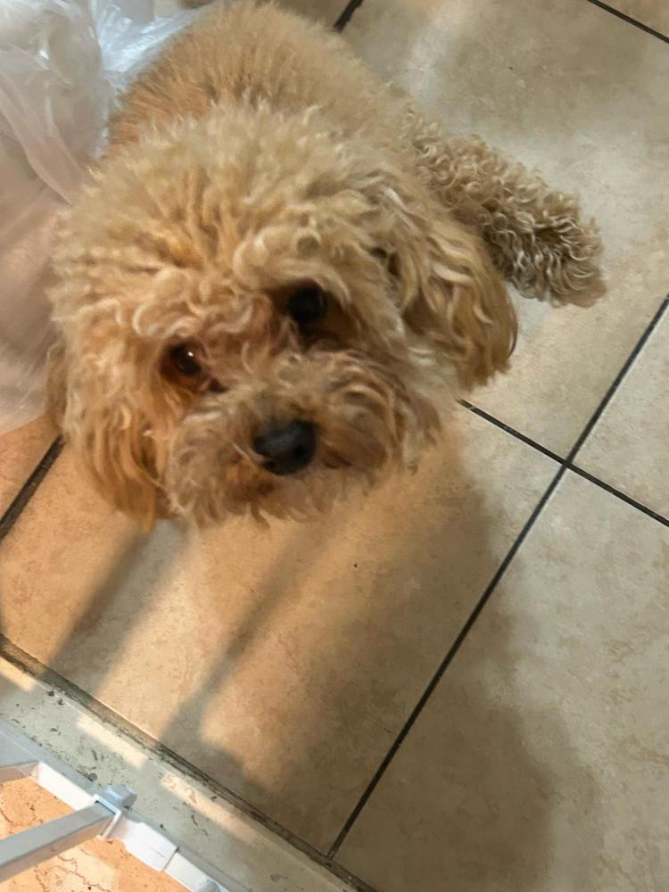 Keith Olbermann tweet media