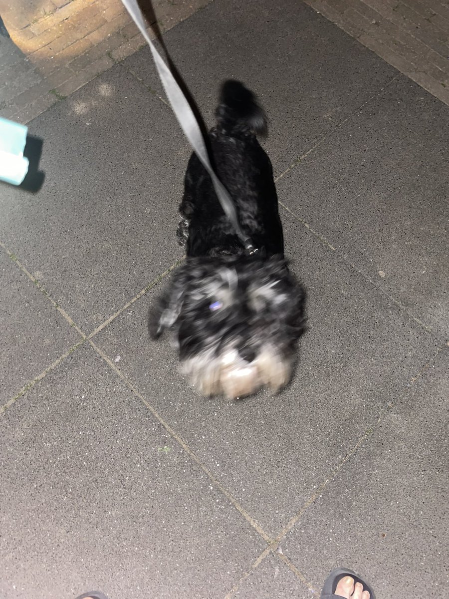 Ontaard vrouwtje! Niet ik die na de laatste ronde de hond buitensluit!