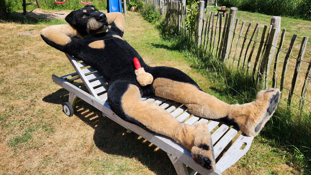 Time to enjoy the sunshine in the garden