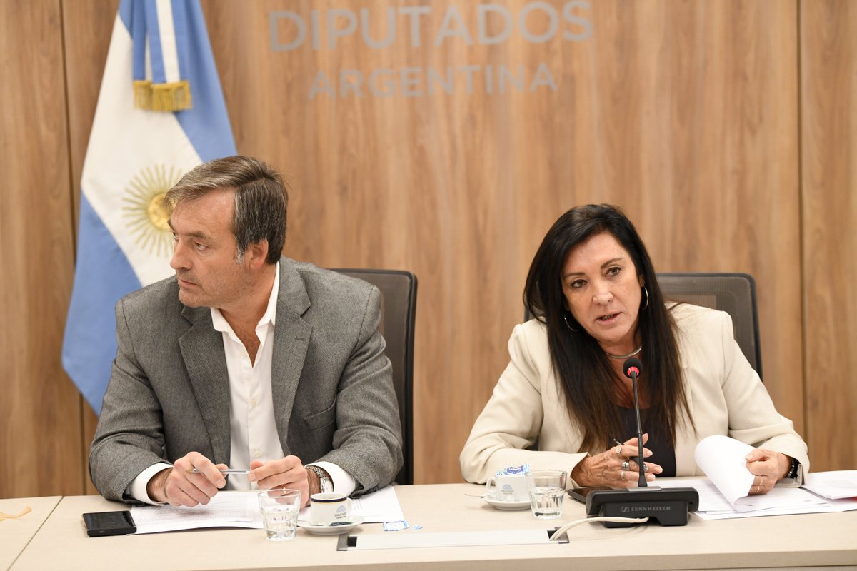 DiputadosAR's tweet photo. 📸 https://t.co/nL44GbKrkk