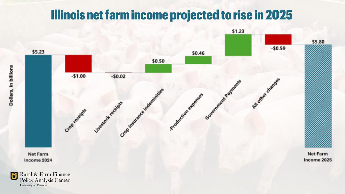 Illinois net farm income is projected to rise 11% in 2025 to $5.80 billion. A $1.23 billion boost in government payments offsets a $1 billion drop in crop receipts. 
Expenses fall $455 million on lower feed, fuel &amp; fertilizer costs.

Full report: raff.missouri.edu/farm-income
