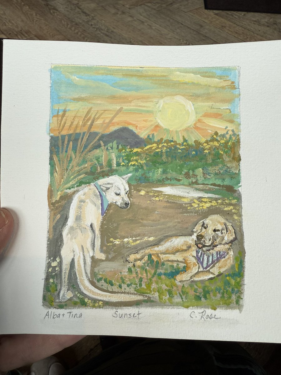 NiallHarbison's tweet image. There’s 3 reasons why I’m doing this tour….

1. To create a legacy for Tina 🎾 

2. To helps 10,000s of street dogs 🐕 

3. To meet people and say thanks in person for the support 🥰

The third one is super important for me. I often say that I’d rather be with the dogs and find…