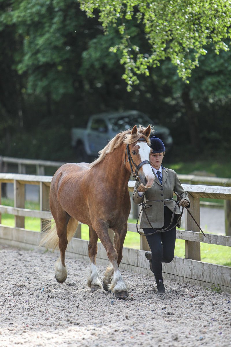 Everyone’s getting married and having babies and I’m like hey look at my pony