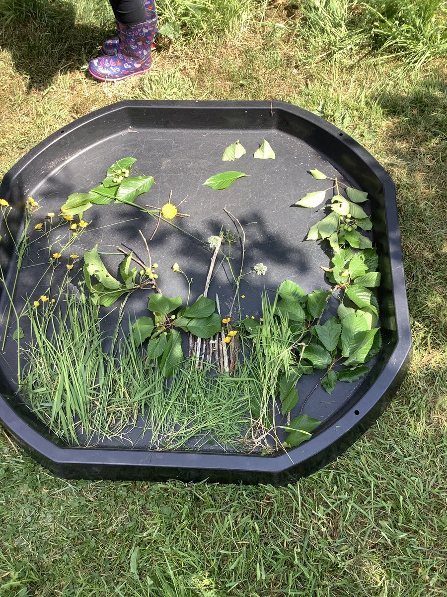 primaryStMarys's tweet photo. Everyone enjoyed exploring and identifying the main features of our forest school area with parents this afternoon. The children loved were creating their own maps of forest school using natural materials to identify different features. https://t.co/iq7RflIJkB