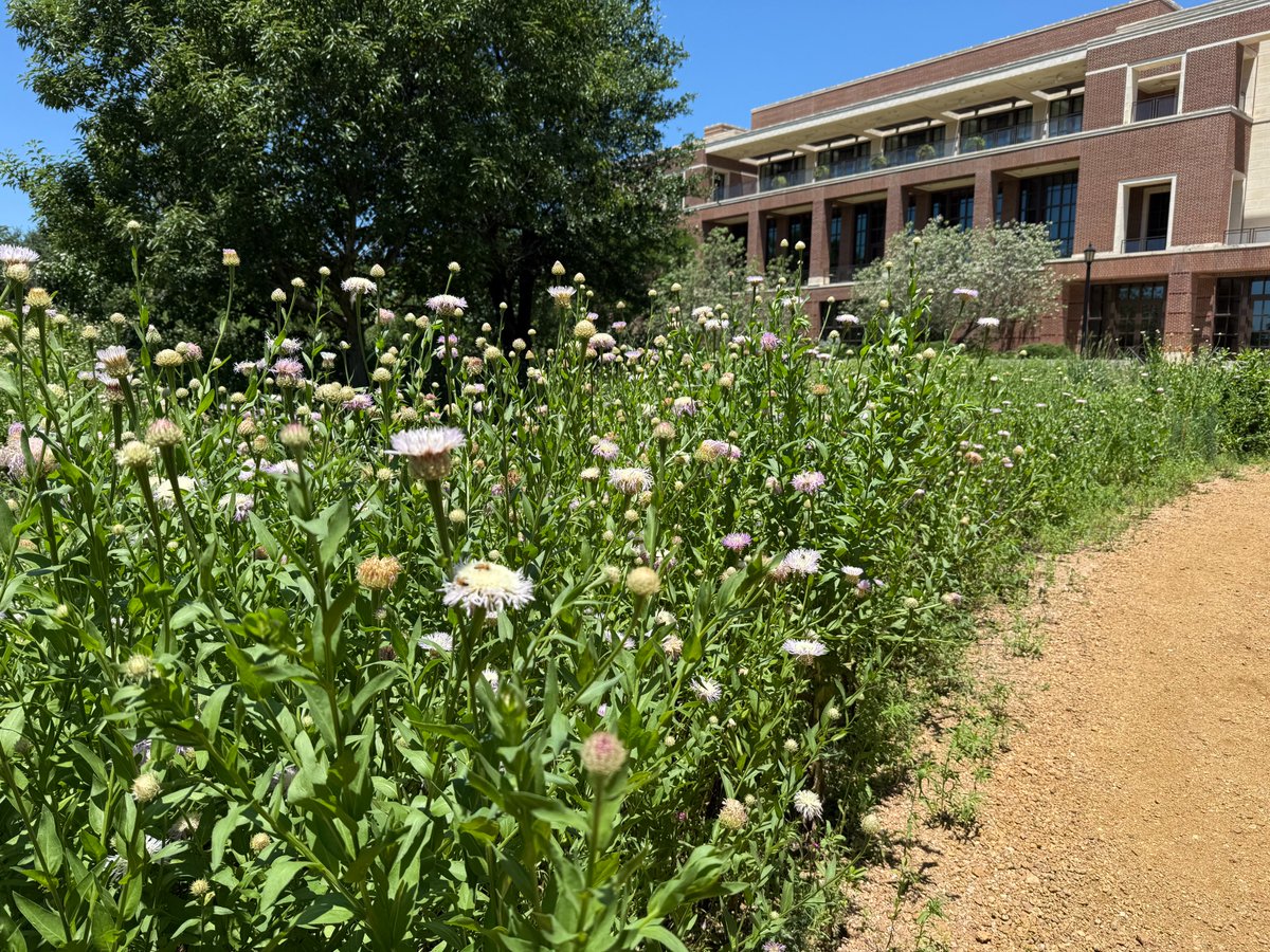 The 15-acre Laura W. Bush Native Texas Park is open daily for self-guided tours from sunrise until sunset! Choose whether to embark on a self-guided tour along the walking trails or join our group tours led by Master Naturalists. The beautiful and sustainable park is filled with