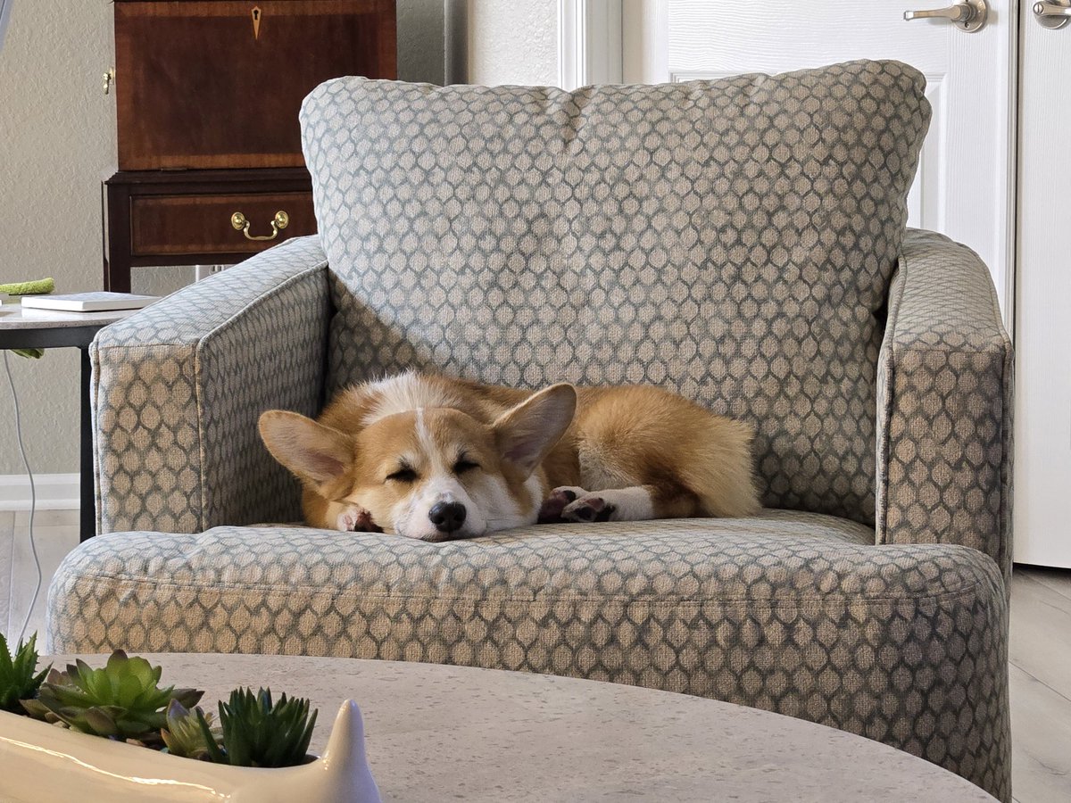 Oliver has a great life