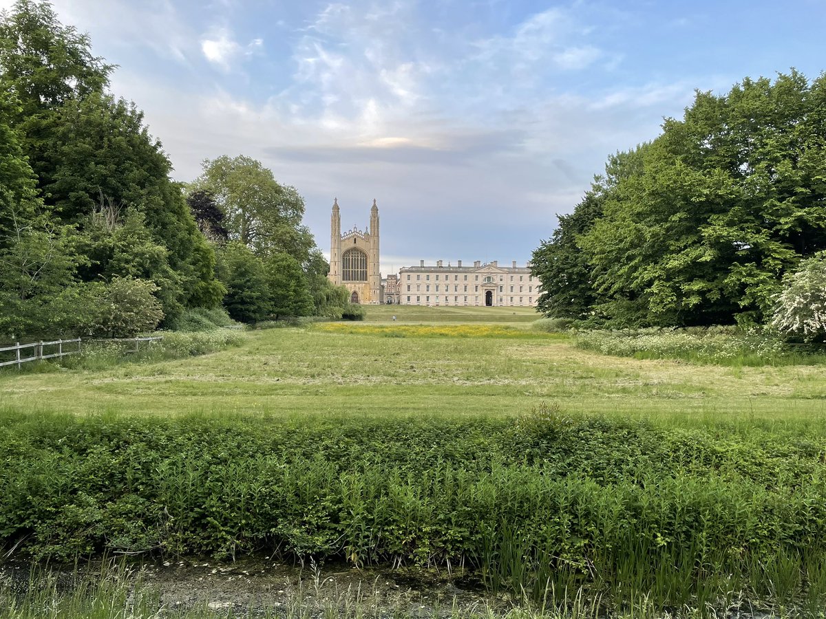 Oh I LOVE Cambridge - and somewhere in that meadow there were four young fox cubs enjoying the summer. Beautiful evening walk.