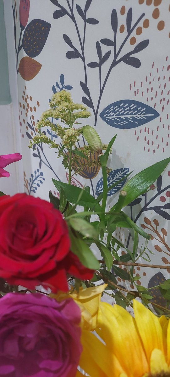 bish_10's tweet photo. @coopuk disappointed that the lillies in my wifes flowers died before any opened. Bought on 13th , roses in bouquet still going strong. https://t.co/l2gYwcROuc