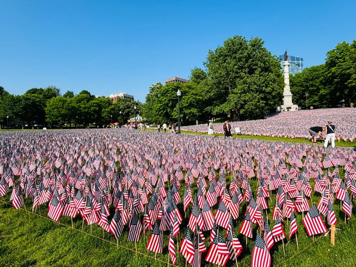 erhervy's tweet photo. Honoring the past with a field of flags, a symbol of bravery and sacrifice. 🇺🇸✨ #MemorialDay #FlagDay #IndependenceDay https://t.co/QRRlR3K341
