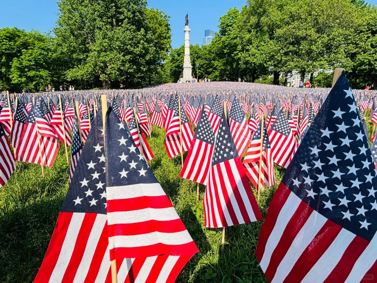 erhervy's tweet photo. Honoring the past with a field of flags, a symbol of bravery and sacrifice. 🇺🇸✨ #MemorialDay #FlagDay #IndependenceDay https://t.co/QRRlR3K341