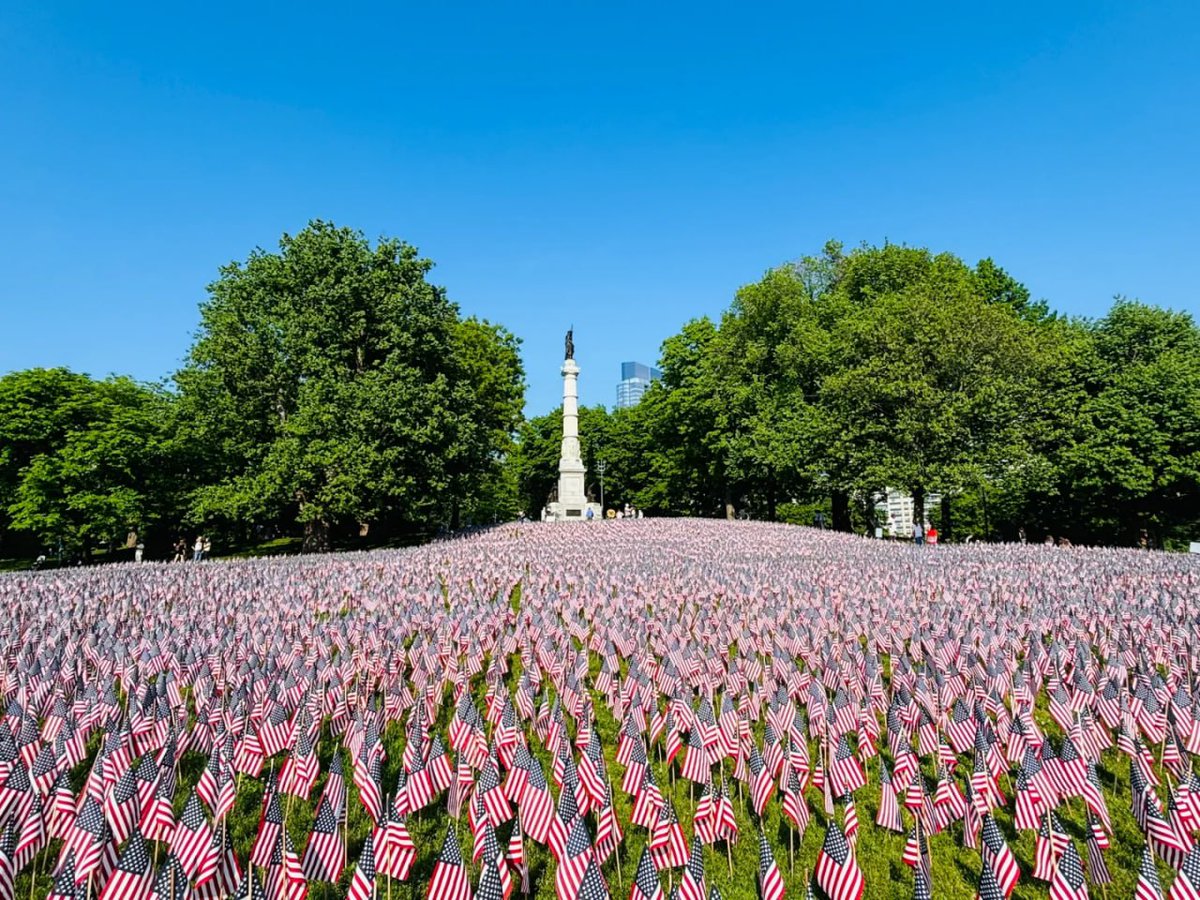 erhervy's tweet photo. Honoring the past with a field of flags, a symbol of bravery and sacrifice. 🇺🇸✨ #MemorialDay #FlagDay #IndependenceDay https://t.co/QRRlR3K341