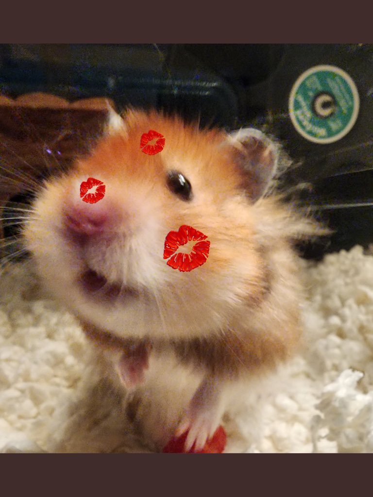 <a href="/CuteBoyCooper/">Cooper</a> <a href="/AlanSla90124663/">Olly the Cat, Monarch of The Moglets. RIP Maximus.</a> <a href="/BuddyakaBuddyB1/">Buddy Boo ❤️ Olly forever</a> <a href="/therealnsm0220/">im the real Nick</a> <a href="/Nacho87329549/">Nacho</a> <a href="/creative54/">MIMI THE TABBY😺</a> <a href="/MariaPulk/">🌈Coop, 🌈Willow, Smokey & Mummy Maria 💔Squirt</a> <a href="/Helensthoughts1/">LokiLollipop&TakiniTaco</a> <a href="/ChrisGo43167730/">Chris and Buffy</a> <a href="/georgiarealist/">Susan Burge and Puddin 🦥</a> <a href="/BrambleRamble4/">Bramble, Mum &🌈Angel Tommy</a> <a href="/pvisnesky/">Francis Albert 💔Athena🌈🕊️</a> <a href="/Eliot01375004/">Eliot, big brofur of Atwood & Borys 🇦🇺 🇺🇦</a> <a href="/psiangelic/">Louis, 🌈 Heath & Mommy 💞</a> <a href="/ToursMum/">Charlie & Mum</a> <a href="/Merlin80643296/">Merlin🌈&Freyja & Sylvester & Puck</a> <a href="/Hookumcrew/">Nosy & Parker and Ted. 🌈 members Lara and Mitten</a> <a href="/Tarde_WaterBear/">Cpt Otto Katsuo liberté égalité et fraternité</a> <a href="/DurranSean/">Sean Durran & Freddie 😺🐾🐾</a> <a href="/HibiscusLynn/">Hekili&Ranger & Lynn Riemer. 💙💛💙💛</a> <a href="/cory20191/">Olive&Greta&Cory</a> <a href="/MurphyTCat/">Angel Murphy & Angel 😇 Boo 🌈 🌉</a> <a href="/Shadowsmush/">Kiwi and stitch 🌈Shadow🌈</a> <a href="/jerry_tuxedo/">Angel 🌈 Captain Jerry - RIP 1.8.2013-17.6.2025</a> <a href="/tiggy_catt247/">Junior Jam Roly Poly</a> <a href="/TJS12145/">TJS</a> <a href="/MatthewSummors/">Alfie the Cat</a> <a href="/parsleysmum/">Ollie the Pappy & Cleo Kitty</a> <a href="/philduthie/">philduthie🌈⚽️🇺🇦🏴󠁧󠁢󠁳󠁣󠁴󠁿🏳️‍🌈</a> <a href="/Gina_Moona/">Gina & Moona</a> <a href="/Freeds/">Freda Bowes Brown</a> <a href="/Dr_eVal/">Val Gilchrist</a> <a href="/JesseJames0216/">Jesse James 💜’s Olly Forever</a> <a href="/CynthiaRelihan/">Bella🌈Lily, and Poppy. #kindnessmatters #bekind</a> <a href="/bar25910920/">Ben🐈Honey🐈Lily✨🌈🐈</a> <a href="/Sg3912/">Gato 🐱🍰Sasha and Max ECC🙏</a> <a href="/denvor18/">Dionysia Voridi 👠,Nikkei &Ortipo</a> <a href="/FrankieDoode/">Franklin</a> <a href="/GodsJoyCat/">JJ Pumpkin Pie Edible Cats Club</a> <a href="/LittleTess3/">Tessie 💙 RIP Olly 🐾</a> <a href="/EdibleCatsClub/">EdibleCatsClub</a> <a href="/WuffyisFloofy/">♥️Wuffy is Floofy, an vury happy xx♥️</a> <a href="/CowboyTheBengal/">Cowboy & Mischief love & miss our 🌈OTRB furrends</a> <a href="/TomKattman/">Tom Kattman</a> *holds on tight*🐹🐾😺😺 ##Eccsecurity #Eccenrolment