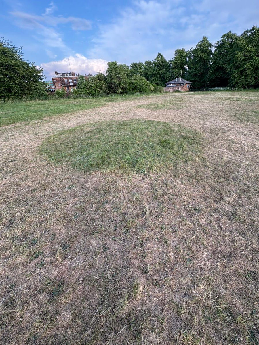 stuDLFSeeds's tweet photo. Out walking the local common tonight… the fair packed up 2 weeks ago. No rain since, and it’s clear: where the crowds walked = bare patches. Where the waltzers sat = grass still smiling. Cold spring drought + foot traffic = a turf manager’s house of horrors #SpringDrought https://t.co/MOOPr7DGli