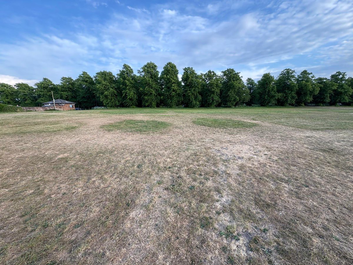stuDLFSeeds's tweet photo. Out walking the local common tonight… the fair packed up 2 weeks ago. No rain since, and it’s clear: where the crowds walked = bare patches. Where the waltzers sat = grass still smiling. Cold spring drought + foot traffic = a turf manager’s house of horrors #SpringDrought https://t.co/MOOPr7DGli