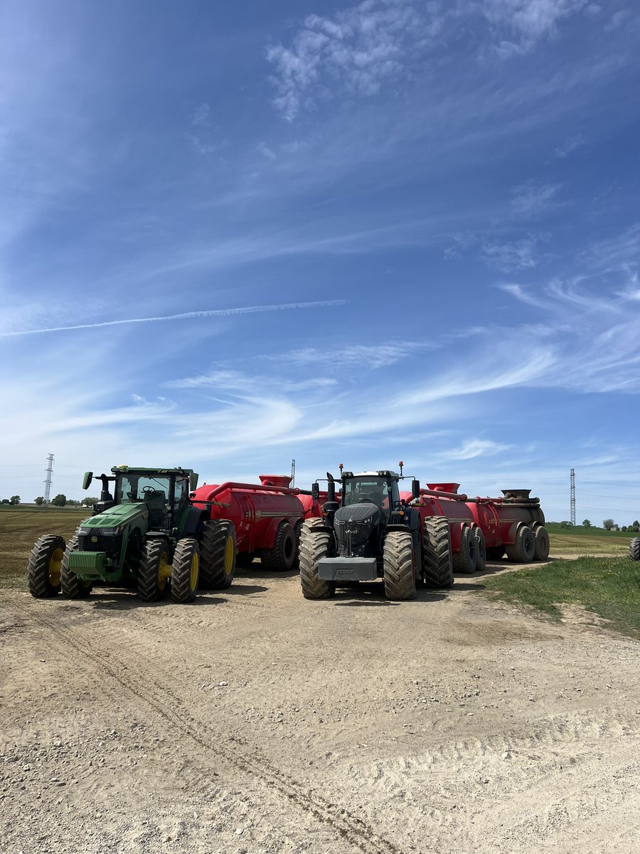 arievanhemert's tweet photo. Little bit of tanking on triticale https://t.co/Dzwj2in4PP