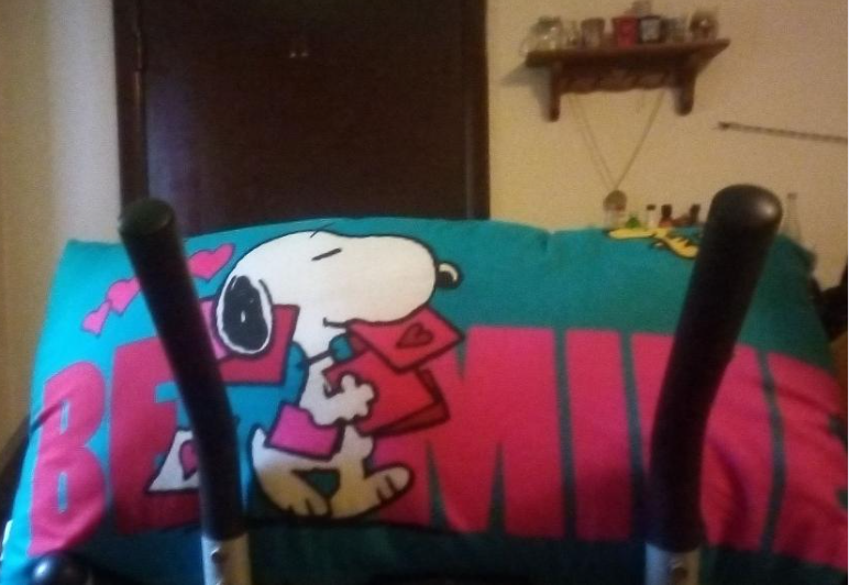 NWO4LYFE666CCP's tweet photo. @psinergy_SDW Well, pops has #commandeered the former sleeping quarters of the kid ... view from 2nd floor - wake up thinking I'm in #Vietnam half the time b/c of the view -- https://t.co/j96tngJk4k