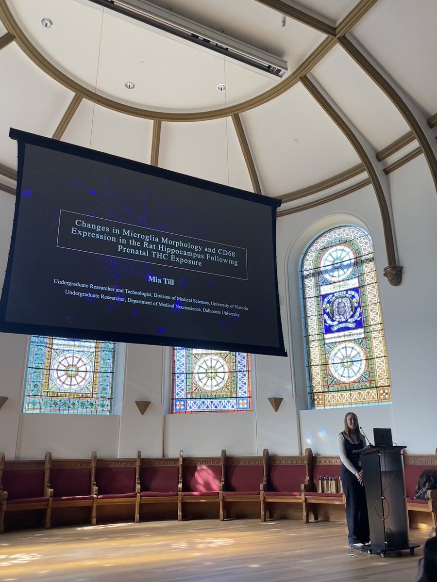 Thank you to Mia Till for closing out our last trainee talk with some prenatal THC exposure research and the impacts on #microglia! Well done to all our trainees today! #CANGlia2025