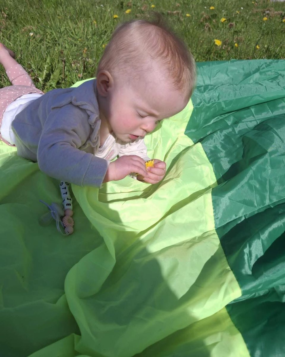 DgcLearning's tweet photo. 🌟 The Bridge- Dumfries Baby Peep 🌟
🌱 Recently our families enjoyed a session exploring nature and the world around us. We made the most of the weather and spent time outside looking at the flowers.
#familylearning #peeplearning
🌼☀️🕶️ 🌼☀️ https://t.co/Xh8XcSbR4c