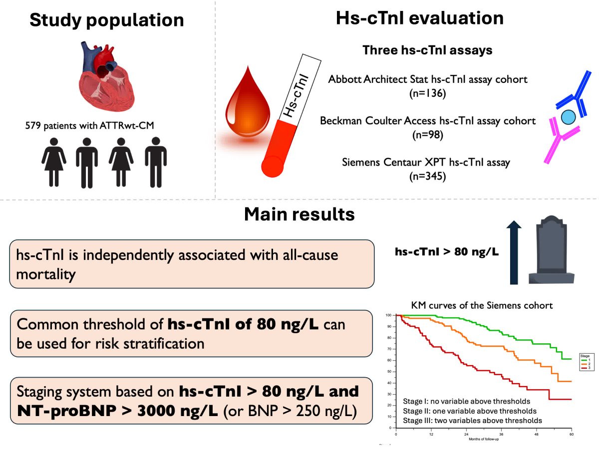 Circ: Heart Failure (@circhf) on Twitter photo High-Sensitivity Cardiac Troponin I for Risk Stratification in Wild-Type Transthyretin Amyloid Cardiomyopathy <a href="/matser89/">Matteo Serenelli </a> <a href="/aldoporcari/">AldostefanoPorcari</a> <a href="/TiniGiacomo/">Giacomo Tini</a> <a href="/GSaturi/">Giulia Saturi</a> <a href="/LauraDemichieli/">Laura De Michieli</a> <a href="/albcipri6/">Alberto Cipriani</a> #AHAJournals ahajrnls.org/4mqUcOn High-Sensitivity Cardiac Troponin I for Risk Stratification in Wild-Type Transthyretin Amyloid Cardiomyopathy <a href="/matser89/">Matteo Serenelli </a> <a href="/aldoporcari/">AldostefanoPorcari</a> <a href="/TiniGiacomo/">Giacomo Tini</a> <a href="/GSaturi/">Giulia Saturi</a> <a href="/LauraDemichieli/">Laura De Michieli</a> <a href="/albcipri6/">Alberto Cipriani</a> #AHAJournals ahajrnls.org/4mqUcOn