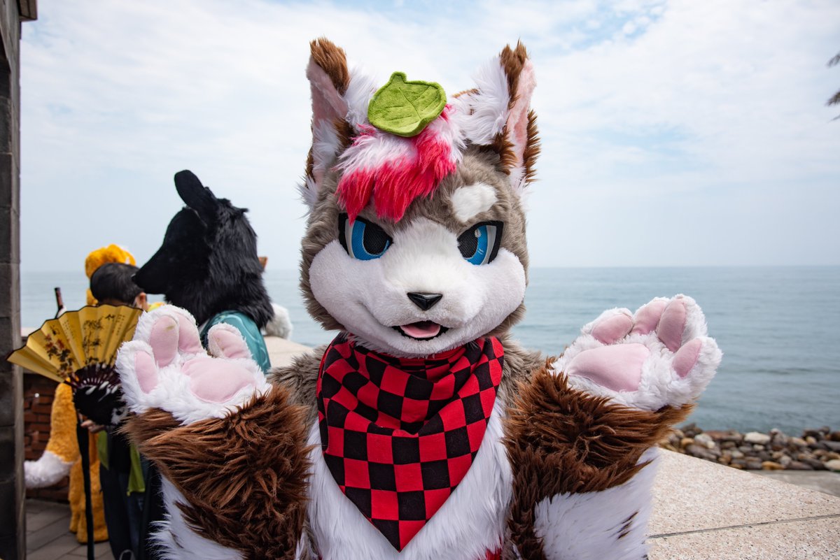 關於我轉生成狸貓那檔事
狸~
📷: <a href="/CangChung0307/">蒼穹Chung🔜UTFG🇹🇼</a> 
#fursuiteveryday