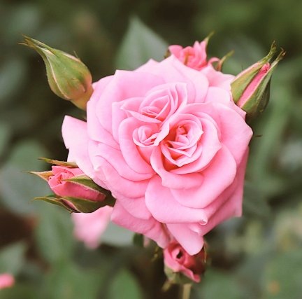 おはようございます·̩͙꒰ঌ( *´꒳`*)໒꒱·̩͙ஐ⋆*🌷🌱🌸🌿🌼☘️🌈😘😘😘❤❤❤❤✨✨✨🌈💓🍬🍬〜♪。.:＊・゜♪。.:＊・゜💗💕💖💞💝💘💓🥰💕💕✨🌹•*¨*•...🌺..｡.:(ღ*ˇ ˇ*)｡o♡ᔆᵘᵗᵉᵏⁱ♡𓂃 𓈒𓏸◌🍀(*˘︶˘*).｡.:*♡💕💗💕( ͜🍒･ω･) ͜🩷