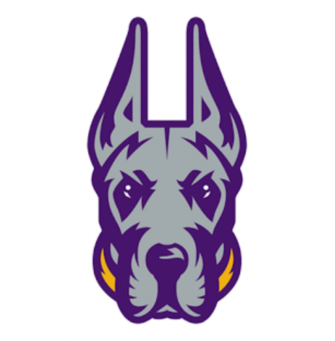 ConnorFurman76's tweet image. After a great conversation with @CoachMLiv, I am proud to announce that I have received my first Division 1 scholarship offer from The University of Albany!
@CoachBucar
@Coach_Nguyen @NewCanaanFB
