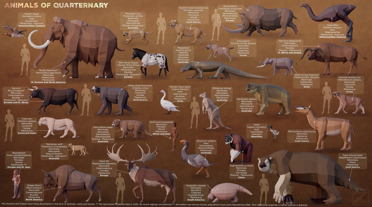 This is the long-awaited sequel to my first low-poly Cenozoic poster from January. This one is a size comparison poster of some low-poly animals from the Quarternary period. I wanted to do a big poster of all my Cenozoic animals in one shot, but I thought it would be too big.