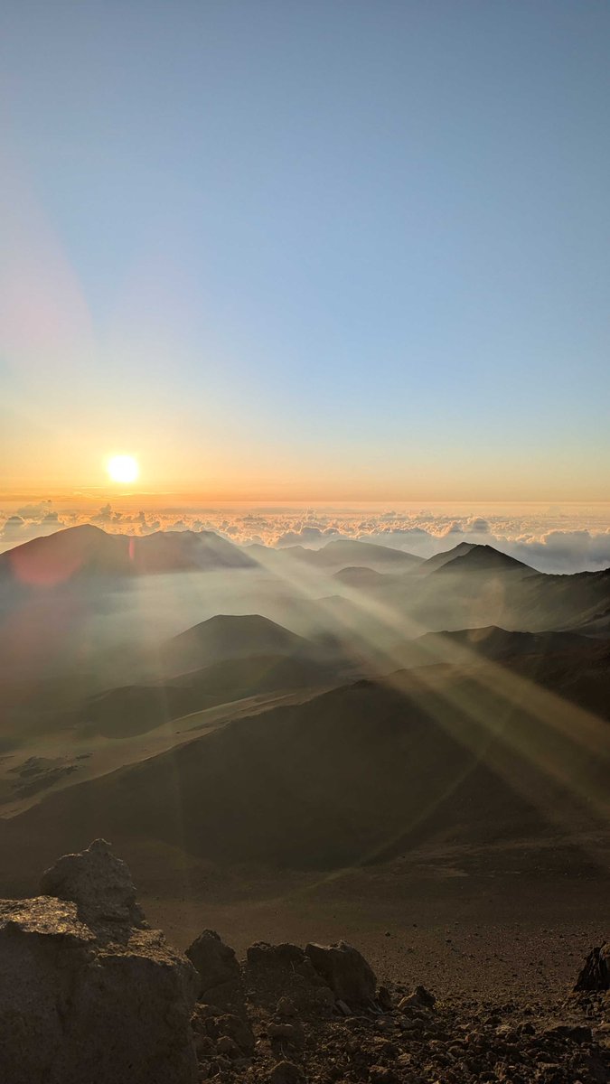 GetPhound's tweet photo. Happy birthday to our Paid Ads Account Specialist, Audrey, who recently took the trip of a lifetime in Hawaii! 🌺 🐢🐋🌴 Check out these incredible shots. Have a wonderful day, Audrey! We lava you. 🌋 https://t.co/0jq9dHOtyM