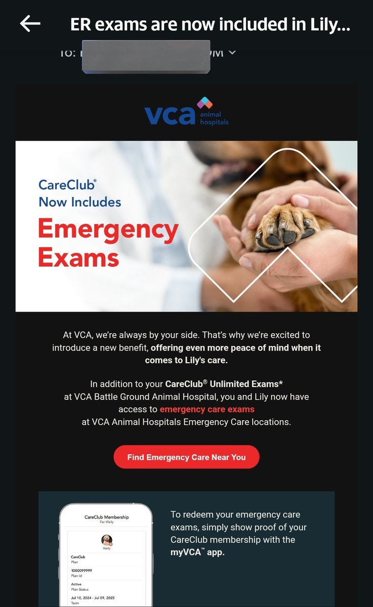 K, Lily & Jasper🌈 & Daphne🌈 tweet media