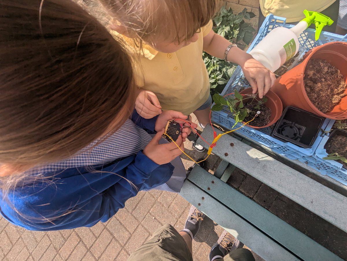 Year 5 (@yearfivebps) on Twitter photo Super work by our Digi Leaders hosting a <a href="/microbit_edu/">Micro:bit Educational Foundation</a> lesson in <a href="/YearFourBPS/">Year 3/4</a> creating soil moisture sensors to help us look after their seedlings <a href="/Blackwood_PS/">Blackwood Primary</a> Super work by our Digi Leaders hosting a <a href="/microbit_edu/">Micro:bit Educational Foundation</a> lesson in <a href="/YearFourBPS/">Year 3/4</a> creating soil moisture sensors to help us look after their seedlings <a href="/Blackwood_PS/">Blackwood Primary</a>