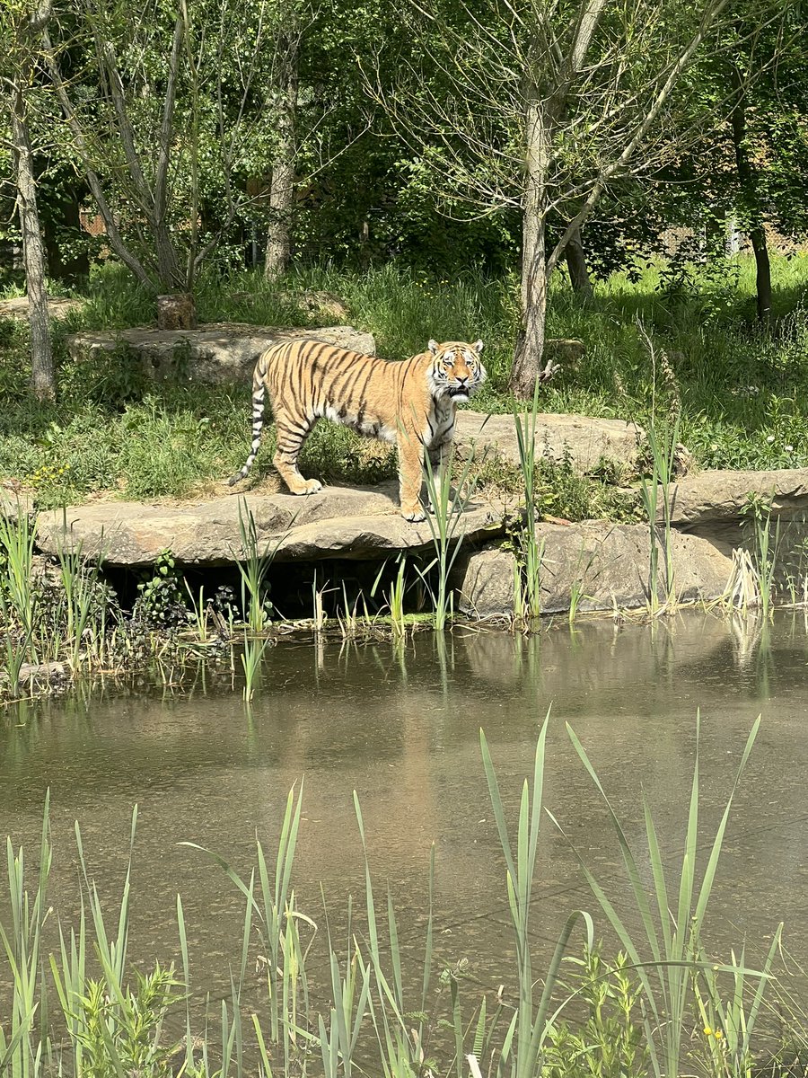 Lauren Owen tweet media