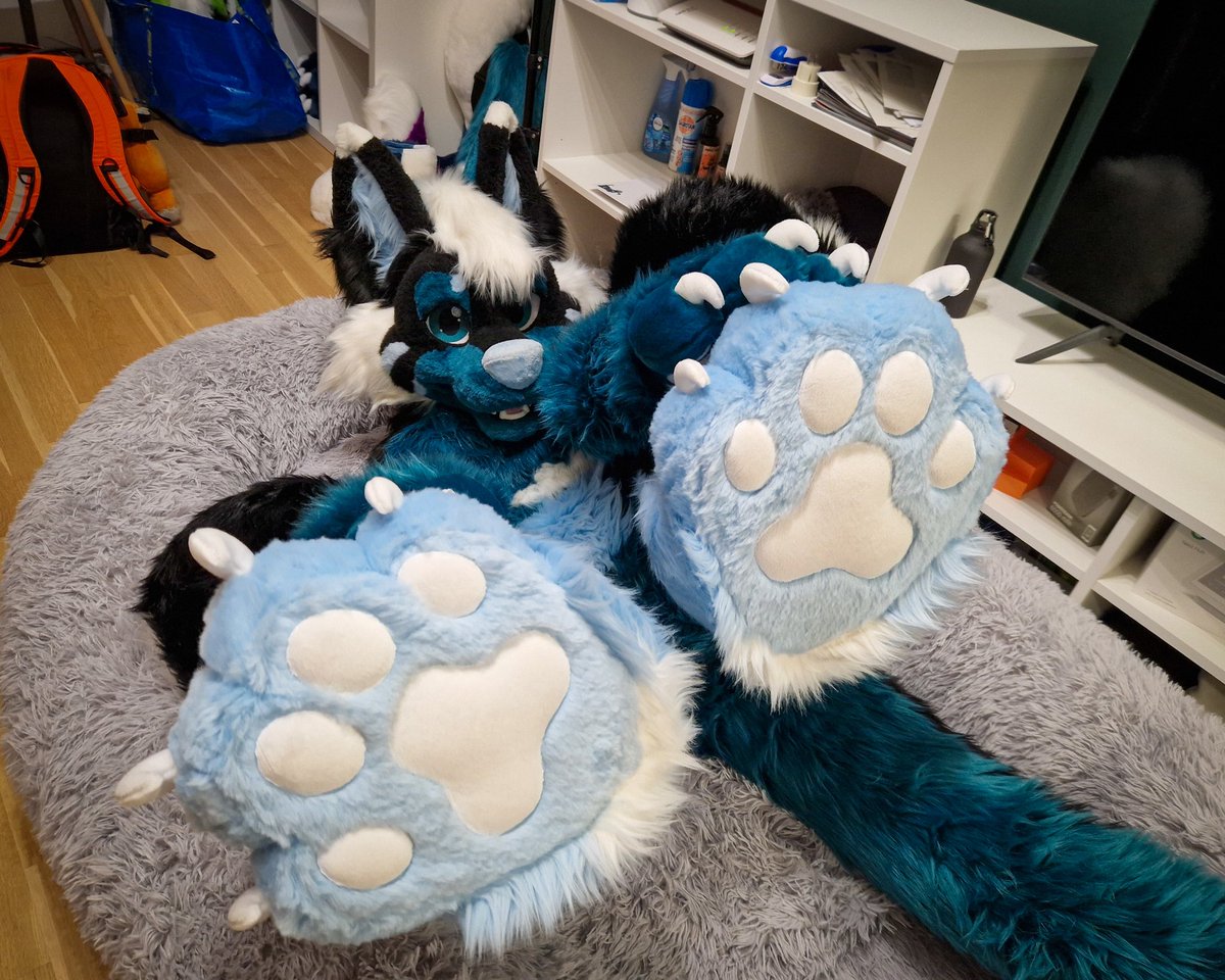 I just heard it's BeansDay! So here are some fresh Wagon Beans for you 👀
#PawDay