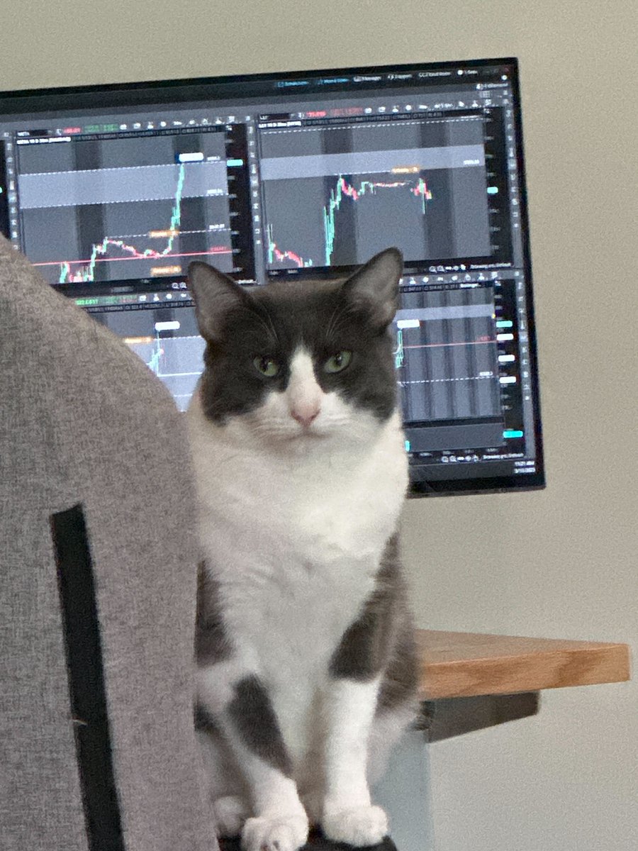 simplertrading's tweet photo. @TG_ProfitPilot Waiting for a cat-alyst to move the market like: https://t.co/undGIxP8dY