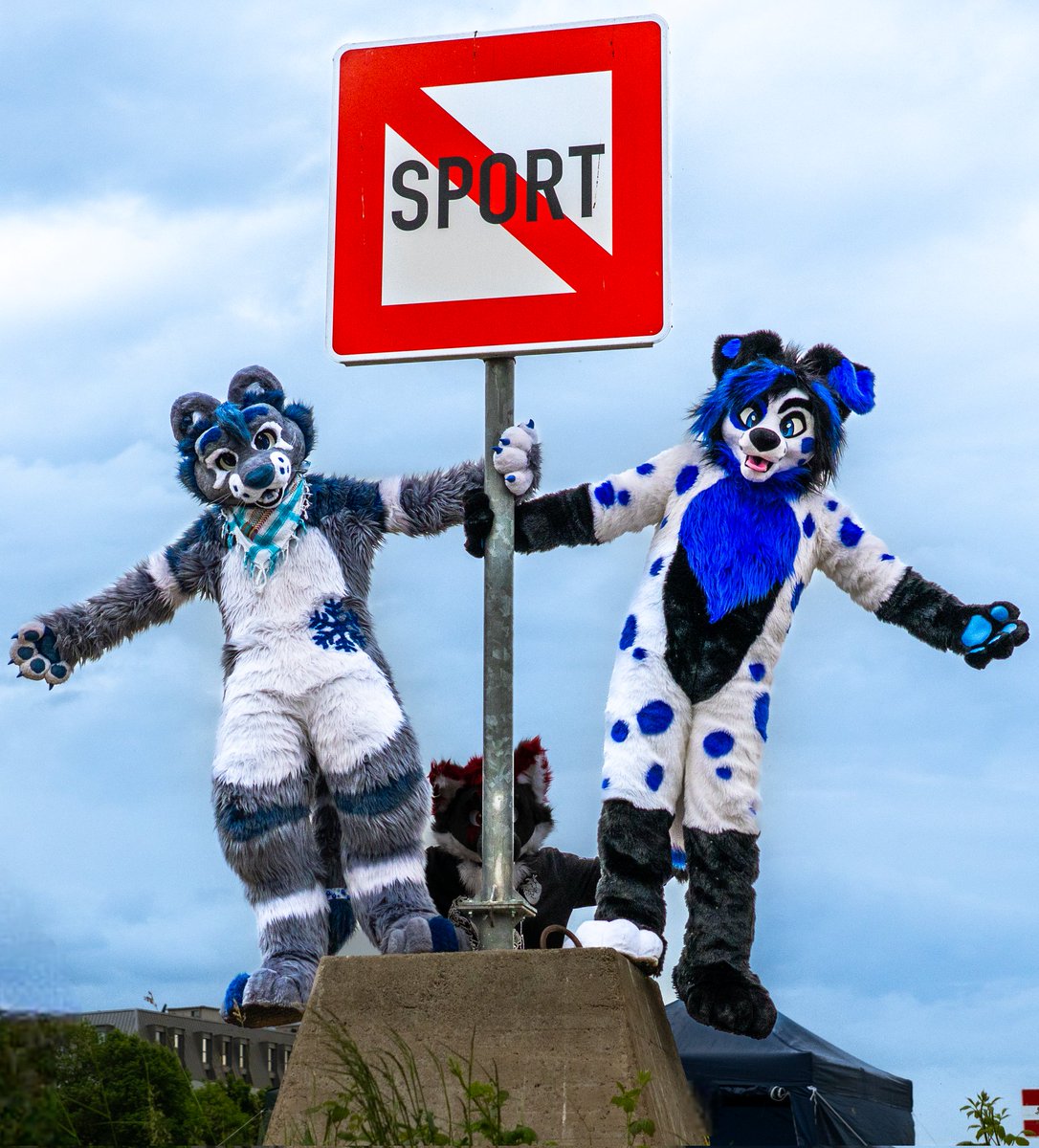 Please do not do any sports here. 😜

🦁 <a href="/KhatuLion/">Khatu ❄️</a> 
🐺 <a href="/Askarion_Wulfaz/">Askarion</a> 

📸 <a href="/Flaikyy/">Flaiky</a> 

<a href="/DresdenFurs/">Dresden Furs</a>
