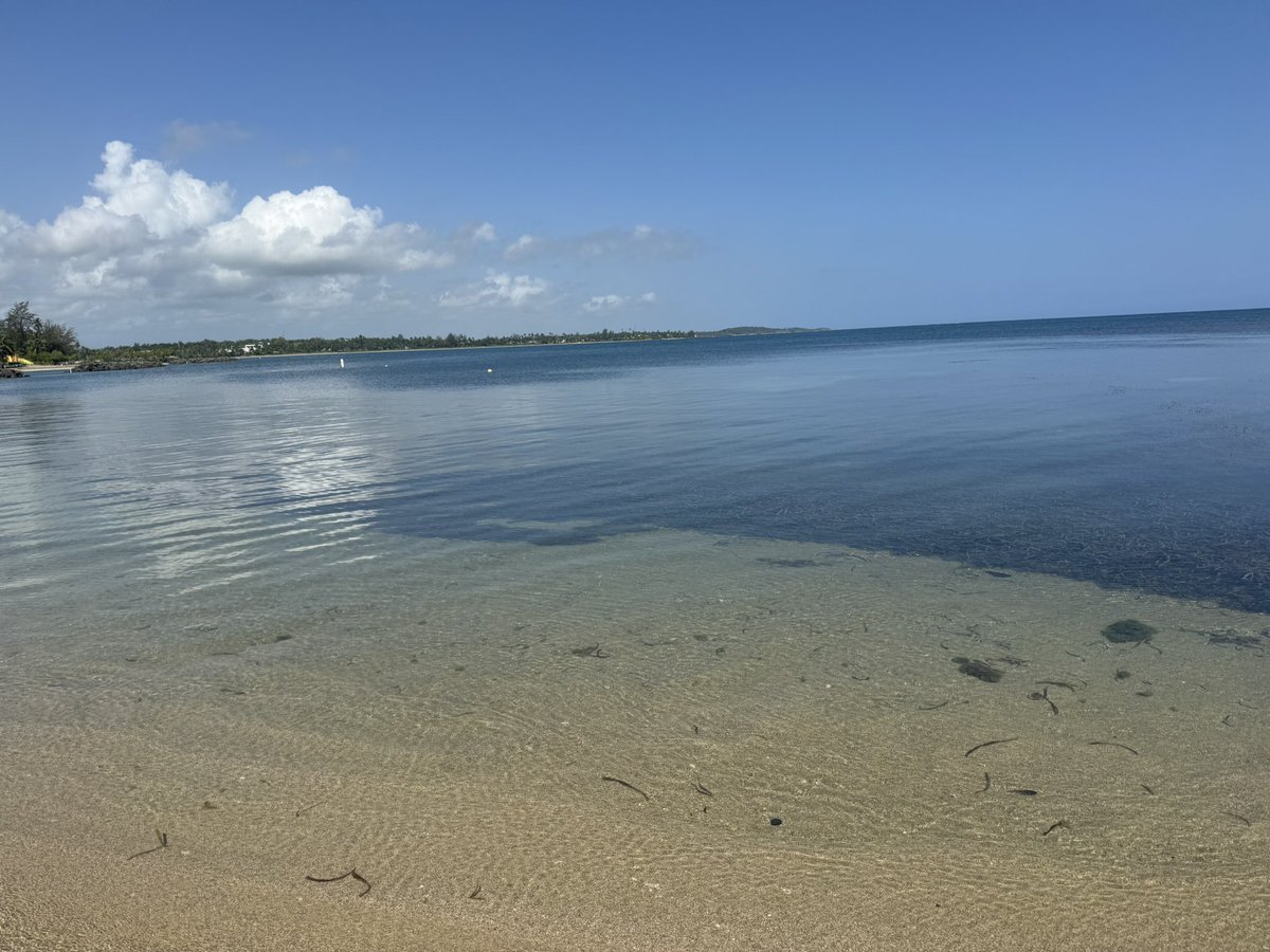 Alquiza ♌️ (@alquizapr) on Twitter photo 