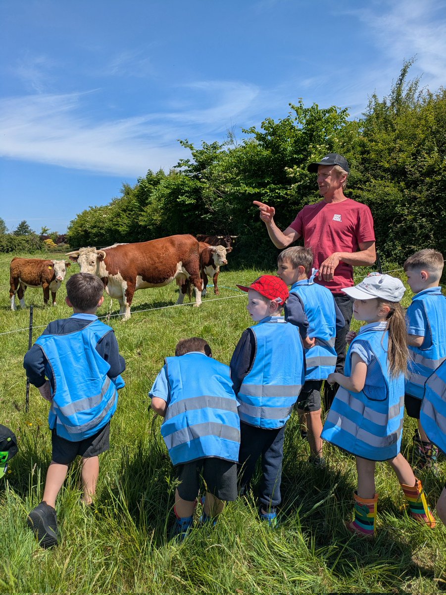 Brockworth (@brockworthnews) on Twitter photo A group of KS1 children enjoyed a trip to Hammonds Farm today. They had a tour of the farm, found out about caring for the cows and chickens, explored the market gardens, taste tested produce and planted their own seed! #outdoorlearning #TeamBrockworth <a href="/RobHughesHT/">Rob Hughes</a> <a href="/LiftSchools/">Lift Schools</a> A group of KS1 children enjoyed a trip to Hammonds Farm today. They had a tour of the farm, found out about caring for the cows and chickens, explored the market gardens, taste tested produce and planted their own seed! #outdoorlearning #TeamBrockworth <a href="/RobHughesHT/">Rob Hughes</a> <a href="/LiftSchools/">Lift Schools</a>