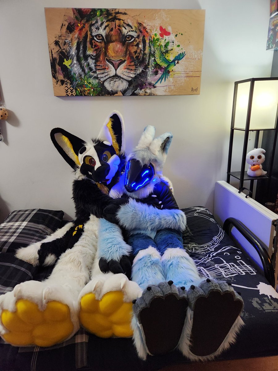 Blake~ (@protoblake) on Twitter photo I've got told it is #PawDay today.
Have some lovely paws then ๐พ
๐บ: <a href="/Yin_Rave/">๐บYin๐บ ๐ EF2025</a>
๐ธ: <a href="/AmarokHusky/">Amarok Husky</a> I've got told it is #PawDay today.
Have some lovely paws then ๐พ
๐บ: <a href="/Yin_Rave/">๐บYin๐บ ๐ EF2025</a>
๐ธ: <a href="/AmarokHusky/">Amarok Husky</a>