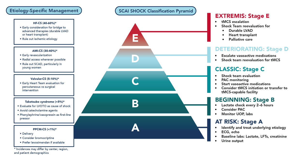SCAI (@scai) on Twitter photo 🚨🆕 Expert consensus on #CardiogenicShock in women. Sex-based disparities in #CS care contribute to worse outcomes for women. This global statement from SCAI, EAPCI, and ACVC outlines gaps, guidance, and the path forward.
Read the statement➡️ doi.org/10.1016/j.jsca…
<a href="/escardio/">European Society of Cardiology</a> 🚨🆕 Expert consensus on #CardiogenicShock in women. Sex-based disparities in #CS care contribute to worse outcomes for women. This global statement from SCAI, EAPCI, and ACVC outlines gaps, guidance, and the path forward.
Read the statement➡️ doi.org/10.1016/j.jsca…
<a href="/escardio/">European Society of Cardiology</a>