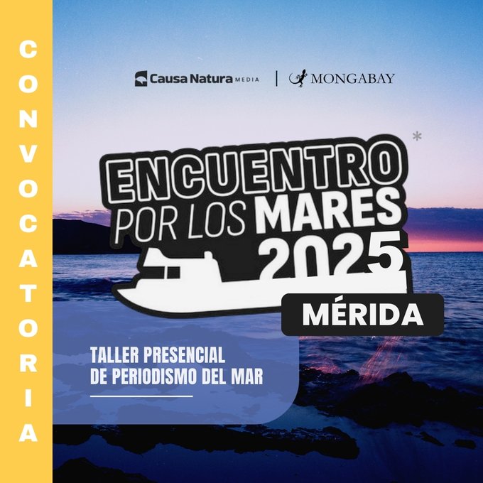 gijnEs's tweet photo. 🇲🇽 Atención periodistas de México: @MongabayLatam y @CausaNatura invitan al taller "Encuentro por los mares", que se desarrollará el 21 y 22 de julio. 📆

Explorarán técnicas para cubrir la agenda de océanos y comunidades costeras.

Límite: 24 de mayo
🔗 https://t.co/iN2PLENHSY https://t.co/8DXxCXiZgW
